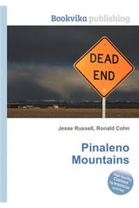 Pinaleno Mountains