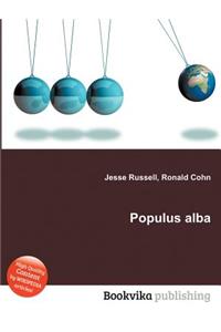 Populus Alba