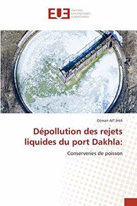 Dépollution des rejets liquides du port Dakhla