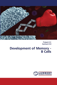 Development of Memory - B Cells