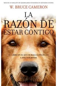 La Razon de Estar Contigo