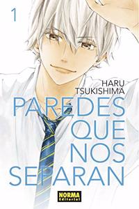 Paredes que nos separan 1 (Spanish Edition)