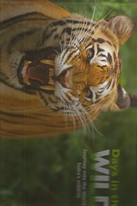 Days in the Wild - Journey into the world of India's wildfire