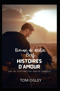 Roman de destin