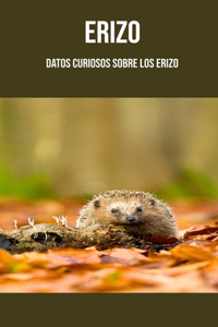 Erizo