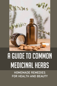 A Guide To Common Medicinal Herbs