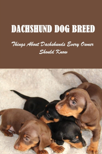 Dachshund Dog Breed