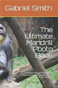The Ultimate Mandrill Photo Book