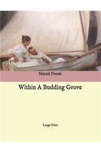 Within A Budding Grove
