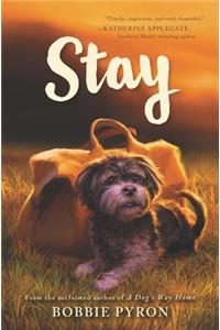 Stay