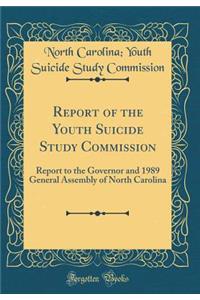 Report of the Youth Suicide Study Commission: Report to the Governor and 1989 General Assembly of North Carolina (Classic Reprint)