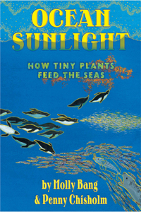 Ocean Sunlight How Plants Feed the Sea