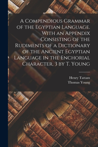 Compendious Grammar of the Egyptian Language. With an Appendix Consisting of the Rudiments of a Dictionary of the Ancient Egyptian Language in the Enchorial Character, 3 by T. Young