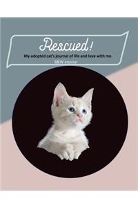 Rescued! My adopted cat's journal of life and love with me.