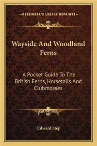 Wayside and Woodland Ferns