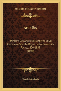 Artin Bey