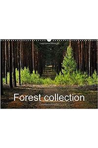 Forest Collection 2017