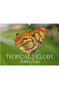 Tropical Melody Butterflies 2018