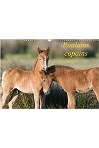 Poulains Copains 2018