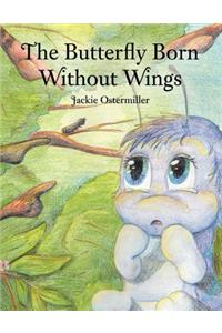 The Butterfly Born Without Wings