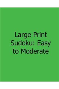 Large Print Sudoku