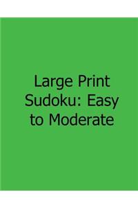 Large Print Sudoku