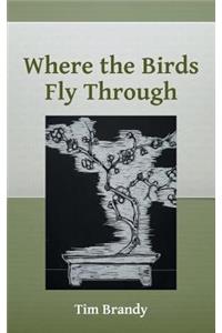 Where the Birds Fly Through