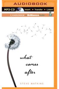 What Comes After