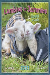 LAMBIES IN JAMMIES GOATS IN COATS