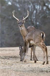 Deer and a Doe Journal
