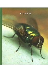 Flies