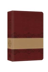Prophecy Study Bible-KJV