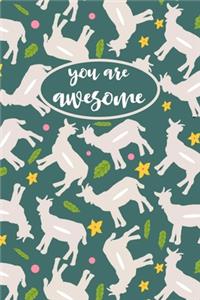 You Are Awesome