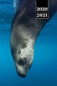 Seal Manatee Sea Lion Cow Walrus Dugong Week Planner Weekly Organizer Calendar 2020 / 2021 - Dive In