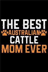 The Best Australian Cattle Mom Ever