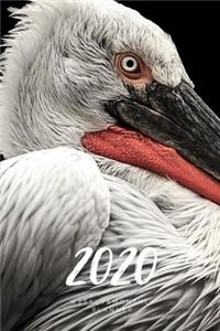 2020 Weekly & Monthly Planner