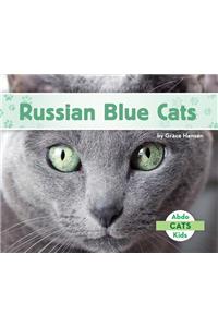 Russian Blue Cats
