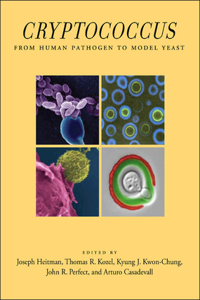 Cryptococcus