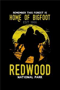 Redwood National Park Home of Bigfoot