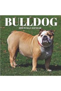 Bulldog 2019 Wall Calendar