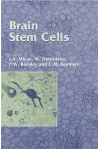 Brain Stem Cells