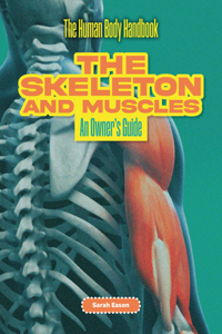 Skeleton and Muscles