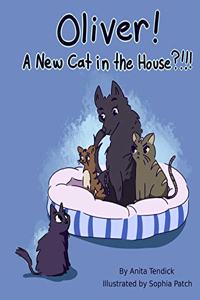 Oliver! A New Cat in the House?!!!