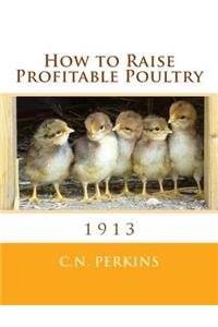 How to Raise Profitable Poultry