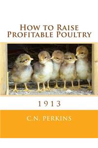 How to Raise Profitable Poultry