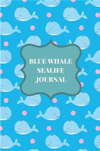 Blue Whale Sealife