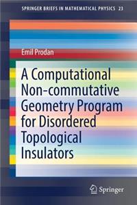 Computational Non-Commutative Geometry Program for Disordered Topological Insulators