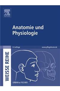 Anatomie Und Physiologie