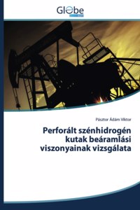 Perforált szénhidrogén kutak beáramlási viszonyainak vizsgálata