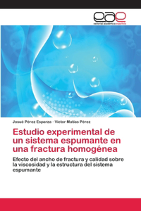 Estudio experimental de un sistema espumante en una fractura homogénea